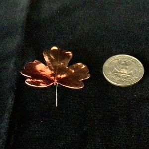 Bronze Toned Leaf Pin